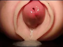 Public sex beaver and pussy