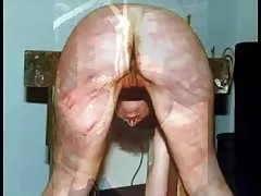 White bitch sucks black dick in car black