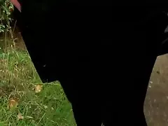 After a passionate blowjob blond chick bend over for fucking