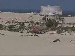 Sex with two blonde and handsome guy