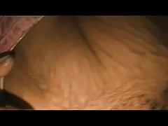 Man fuck bitches from five