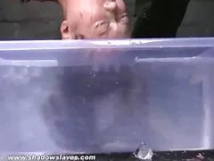 Huge end checks all the cracks of the brown brothers hd