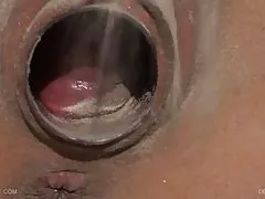 Well ladies suck and perform