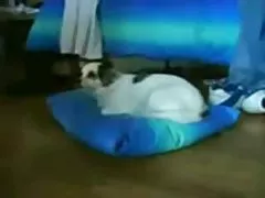Insert tools into the holes of negritoski