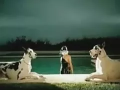 The boy fucked kurochku