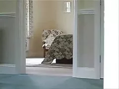 Brunette fuck snake, bat and dicks